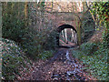 The Harborne Walkway