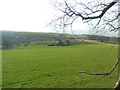 Pasture above Nant Blaenhenwysg