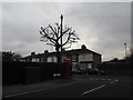 Telephone box at the corner of Frater Lane and Anthony Grove