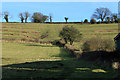 2012 : East from the B3114 near Litton