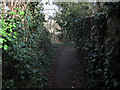 Footpath from Longstanton