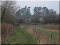 Kersoe House through the trees from the east