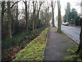 SP0481 : Acacia Road and Stocks Wood / Camp Wood, Bournville by Phil Champion