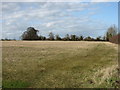 Farmland west of Buckden