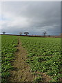 On the footpath northwest of Leaton