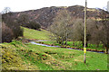 The Afon Dulas at Tylwch