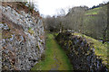 Cutting on the line of the Mid Wales Railway