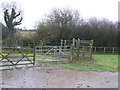 Paddocks in the Coundon Wedge.