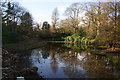 Reflections in the Japanese Garden