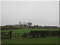 Feather Hill Farm near Scorton