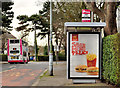 Bus shelter, Belfast (2)