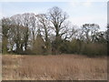 Newton by Toft church and churchyard