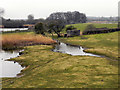 SO7105 : WWT Slimbridge: View from Holden Tower by David Dixon