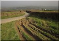 Ruts by the lane, Stourscombe