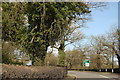 Hedge and road sign