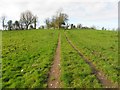 Tracks in a field, Tullycullagh