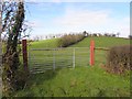 Edenbane Townland