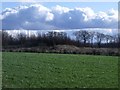 West Dunsyston, pasture