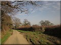 Lane near Eggbeare