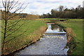 Green banks of the Bollin