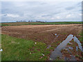 Stubble Field near Newbyre Farm