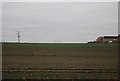 Field, edge of Cliffe