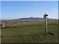 Pennine Way near Scaleber