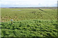 The Ribble estuary from the end of Pool Lane