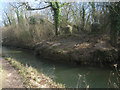 Remains of Coxmoor Swing Bridge