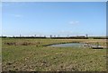 TL4156 : Burwash Manor Farm: ponds by John Sutton