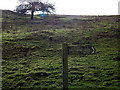 Footpath across Banc Tynewydd