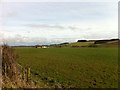 Overlooking Pantyrhuad Farm