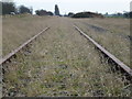 Rusting railway tracks near Coldham