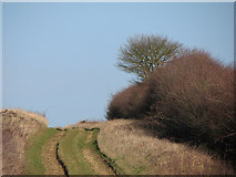 TL4056 : Nearing the crest of the hill by John Sutton