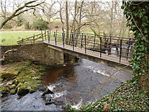 NY9357 : Footbridge over Devil's Water near Holly Well by Clive Nicholson