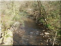 Sirhowy upstream of a footbridge north of Ynysddu