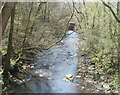 Sirhowy downstream from a footbridge north of Ynysddu