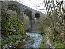 SK1172 : River Wye and viaduct, Chee Dale by Andrew Hill