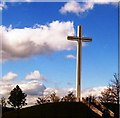 O1135 : Papal Cross, Phoenix Park, Dublin by Alex McGregor