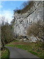 SK1473 : Crag by the Litton Mill lane by Andrew Hill
