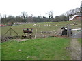 SJ3353 : Part of Wilderness Mill Farm near Wrexham by Jeremy Bolwell