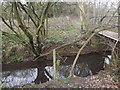 Bonesgate Stream