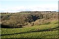 Steep ground above Clydesdale