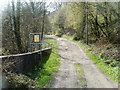 Track into woods, Ynysddu