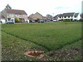 Grassed area, Meadowsweet Way