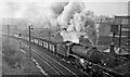 Eastbound freight on Airdrie line at Greenside Junction  east of Coatbridge Sunnyside