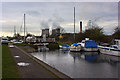 A freight train passes the marina on the Sankey Valley Canal