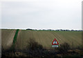 Farmland near Newhaven