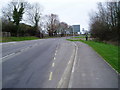 Bus stop A259 Flansham Lane