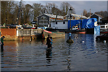 TQ1673 : Spring tide, Eel Pie Island, Twickenham by Jim Osley
